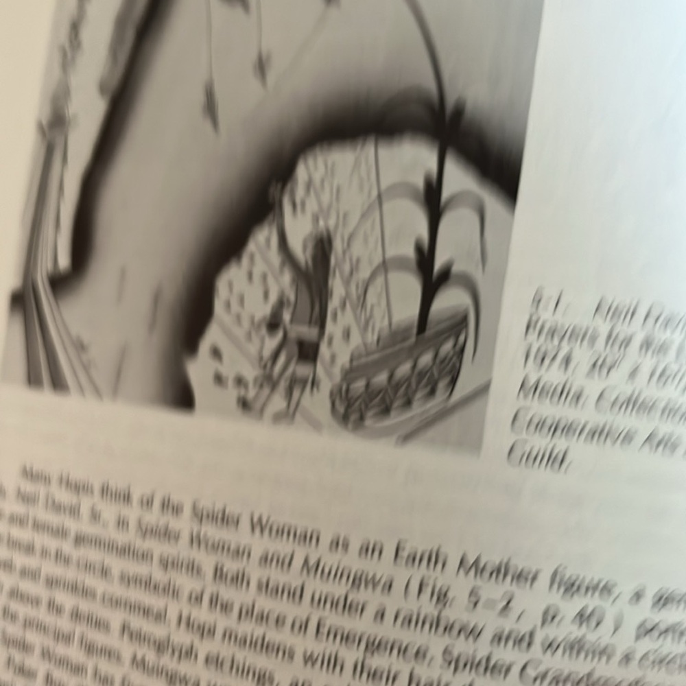 Hopi Painting: The World of the Hopis Art Book - Picture 7 of 8